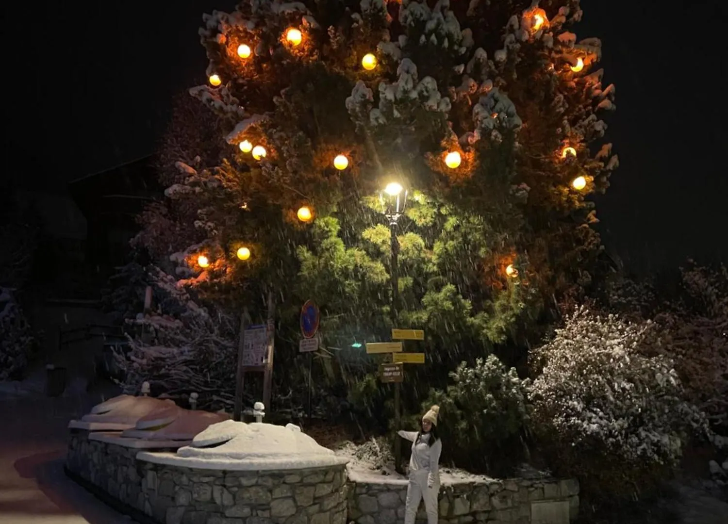 Chalet Muguet - Centre Of Village Location! Les Allues